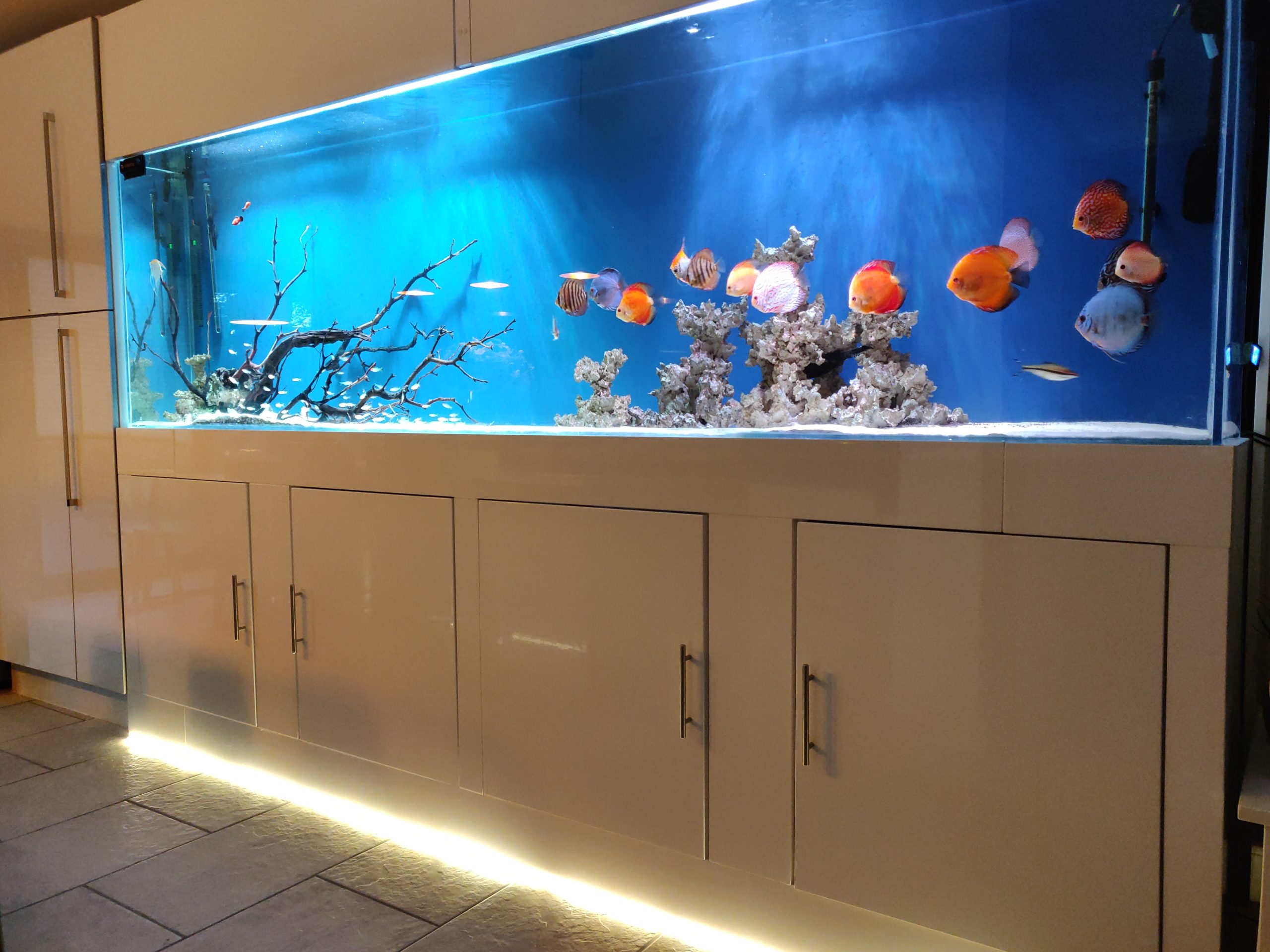 Blue Aquariums Bespoke Aquarium Design